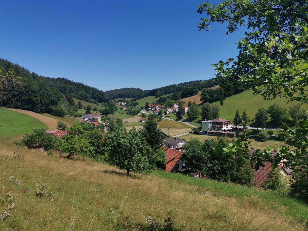 Hotel Gruener Baum Mit Restaurant & Wellness Oberzent Bagian luar foto
