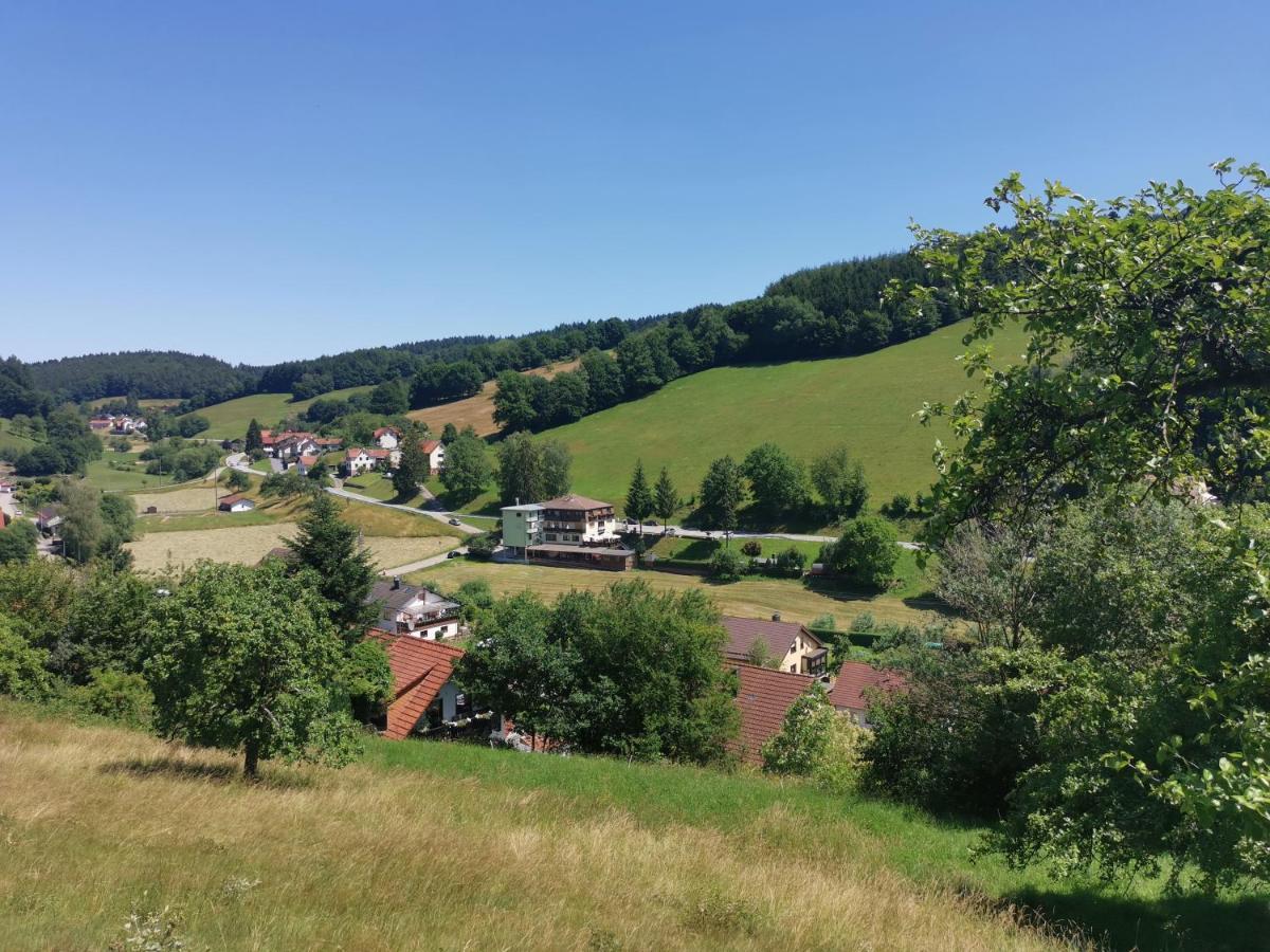 Hotel Gruener Baum Mit Restaurant & Wellness Oberzent Bagian luar foto