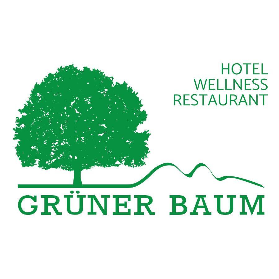 Hotel Gruener Baum Mit Restaurant & Wellness Oberzent Bagian luar foto