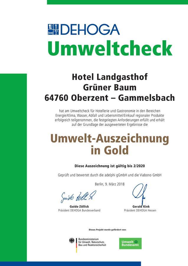 Hotel Gruener Baum Mit Restaurant & Wellness Oberzent Bagian luar foto
